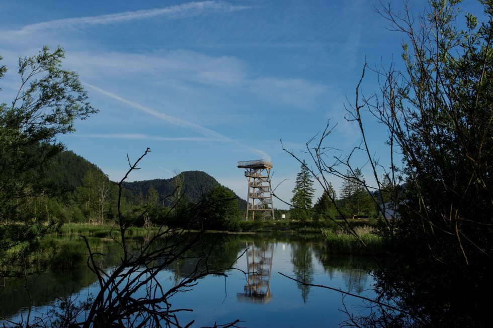 Der 18 m hohe Vogelturm bei Pflach